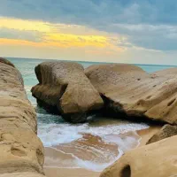 سفر خط ساحلی جنوب vip