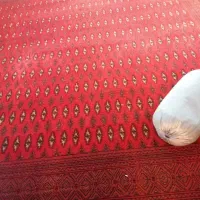 قالی دست بافت ترکمنی ۱۲ متری|فرش|گرگان, |دیوار