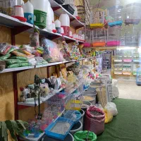 مغازه پرنده فروشی|فروشگاه و مغازه|فیروزآباد (فارس), |دیوار