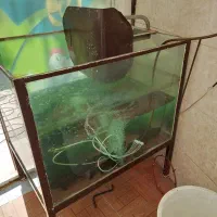 وسایل مرغ فروشی  و آکواریم و منقل