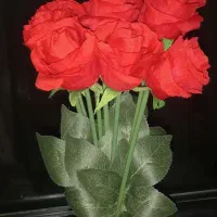 شاخه گل (رز قرمز) ویژه روز اول مدرسه