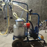 شیر دوش یا گاو دوش|ماشینآلات صنعتی|الشتر, |دیوار