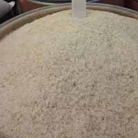 برنج دم سیاه درجه یک گیلان