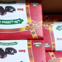 خرمایی درجه یک باغ دشت بم|خوردنی و آشامیدنی|بم, |دیوار