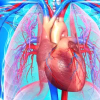 تدریس خصوصی درس زیست شناسی تمام پایه ها