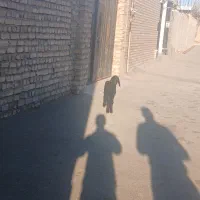 ۱رس بره|حیوانات مزرعه|جوادآباد, |دیوار