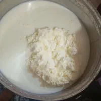 کره تازه گاو