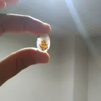 تعدادی سنگ شجر