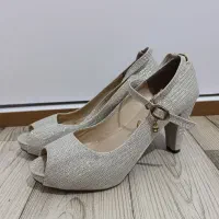 کفش مجلسی و پوتین