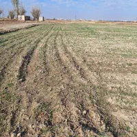 شریک برای احداث گلخانه