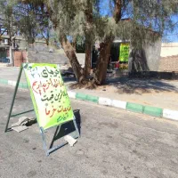 خرید خرما میانگین وزن 6.800 الی 7 کیلو