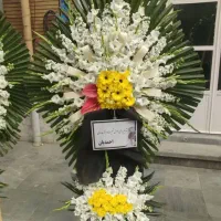 کد42درباری تاجگل دسته جام بازارگل (بدون بیعانه)|گل و گیاه طبیعی|تهران, شهرک محلاتی|دیوار