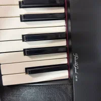 پیانو دیجیتال np30