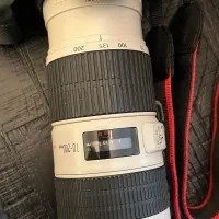 دوربین 7 D کنون مارک ۲|دوربین عکاسی و فیلم‌برداری|کیش, |دیوار