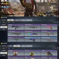 فروش اکانت سیف(حضوری هم هستم)|کنسول، بازی ویدئویی و آنلاین|شیراز, شیخ علی چوپان|دیوار