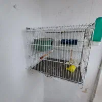 قفس پرنده با وسایل