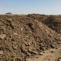 کود گاوی درجه یک پوسیده 4ساله|خدمات باغبانی و درختکاری|گلبهار, شهر جدید گلبهار|دیوار