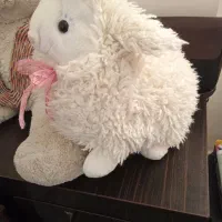 عروسک خرسی و بره پشمالو|اسباببازی بچه|بندرعباس, |دیوار