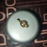 پلاک انار طلا