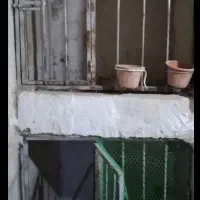 درب قفس لاری آهنی