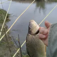 علاقه مندان به ماهیگیری درسد دریا رودخانه مرداب|فعالیت داوطلبانه|ساری, |دیوار