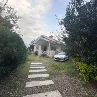 فروش ۸۰۰ متر ویلا سند رشت فومن پسیخان