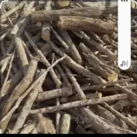 خریدار چوب قطع و هرس درخت|خدمات باغبانی و درختکاری|بندرعباس, |دیوار