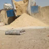 کاه گندم درجه یک وکاه لوبیادرجه