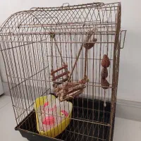 قفس.کیف حمل.لانه