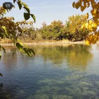 اجاره زمین کشاورزی