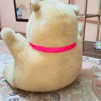 عروسک خرس|اسباببازی|کرج, عظیمیه|دیوار