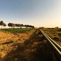 ۲.۷ هکتار زمین کشاورزی/باغی، پلیس‌راه|فروش زمین و ملک کلنگی|نیشابور, فضل|دیوار