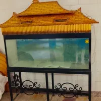 اکواریوم با شیشه 8
