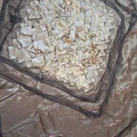 رو تختی دو نفره