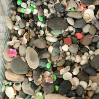 اکواریوم با تجهیزات|ماهی|بروجرد, |دیوار