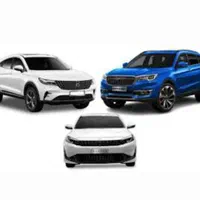 سایر حواله فیدلیتی الیت و ریسپکت  برمید.ا.رم