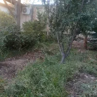 خدمات باغبانی.کندن علف هرز باغ وباغچه منازل