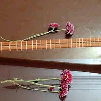 سه تار مدل ماهان ویژه|سازهای سنتی|تهران, پونک|دیوار