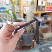 سامسونگ Galaxy S22 Plus 5G حافظه ۲۵۶گیگ رم ۸|موبایل|یزد, |دیوار