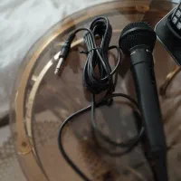 میکروفن اکو الجی