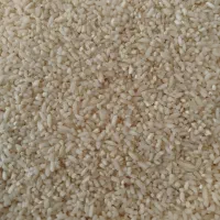.برنج نیم دانه سرلاشه محلی درجه یک