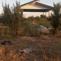 فروش-باغچه