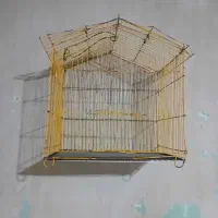 قفس جای سیره