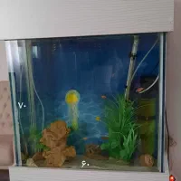 شیشه اکواریوم