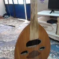 عود مصری