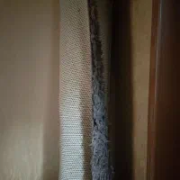 موکت|فرش|خواف, |دیوار