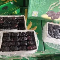 خرمای سنگین وزن دو ردیفی