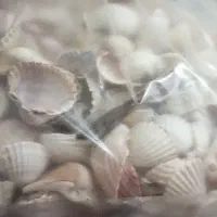 صدف آکواریوم ویرایش کار دستی