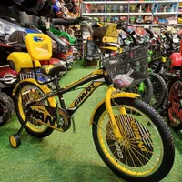 دوچرخه۲۰جیانت پشتی و صندوق دار برند جدید