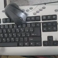 مانیتور و کیبورد|رایانه رومیزی|پردیس, فاز ۱۱|دیوار